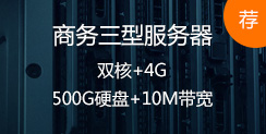 �������ͷ�����,˫��+4G,500GӲ��+10M���� �Ƽ�